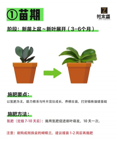 制霉素能养花吗 制霉素能养花吗