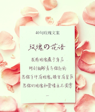 养花的爱情文案句子 养花的爱情文案句子