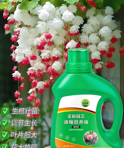 养花需要备好哪些药水 养花需要备好哪些药水