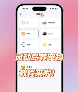 灵动岛宠物养花攻略 灵动岛宠物养花攻略