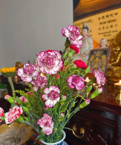 佛堂下可以养花吗 佛堂下可以养花吗