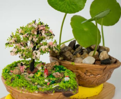 核桃壳用于养花 核桃壳用于养花