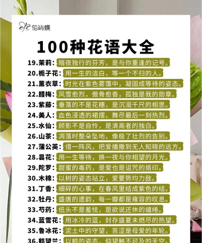 养花语言风格特点 养花语言风格特点