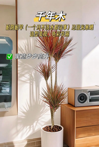 门口绿植树养花好吗 门口绿植树养花好吗