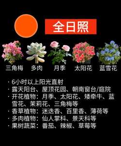 养花温度通风多久好 养花温度通风多久好