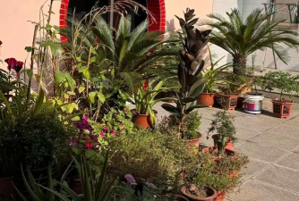 新绛附近养花基地 新绛附近养花基地