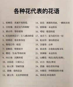 什么是养花流行词 什么是养花流行词