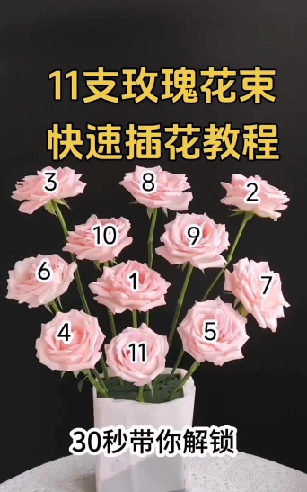 在家教你培养花 在家教你培养花