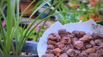 火山砂养花粉末 火山砂养花粉末