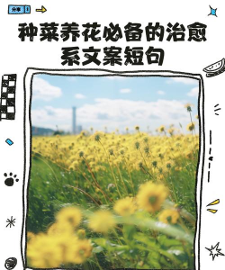 夫妻种菜养花文案短句 夫妻种菜养花文案短句