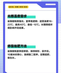 樱桃叶子可以养花吗 樱桃叶子可以养花吗
