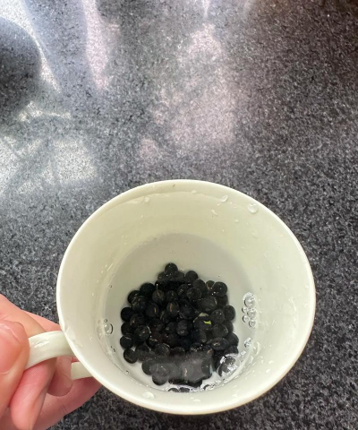 黑豆水好养花吗 黑豆水好养花吗