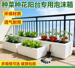 泡沫箱养花混养多久 泡沫箱养花混养多久