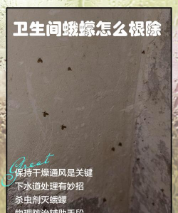 龙眼树臭椿虫防治,怎么彻底消灭,这些方法有效 龙眼树臭椿虫防治,怎么彻底消灭,这些方法有效