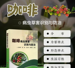 咖啡树病害及防治教案,识别常见问题,掌握应对方法 咖啡树病害及防治教案,识别常见问题,掌握应对方法