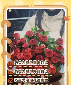 巧克力味花怎么养,掌握关键技巧,轻松培育芬芳 巧克力味花怎么养,掌握关键技巧,轻松培育芬芳