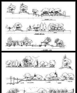 道路绿化设计立面图,看懂关键信息,提升设计效率 道路绿化设计立面图,看懂关键信息,提升设计效率