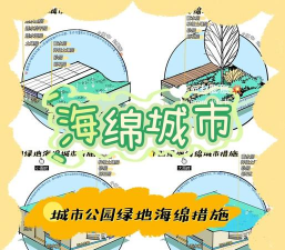 市政道路绿化设计说明,提升城市形象,改善生态环境 市政道路绿化设计说明,提升城市形象,改善生态环境