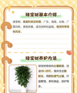绿宝花怎么养,掌握关键技巧,轻松养出好状态 绿宝花怎么养,掌握关键技巧,轻松养出好状态