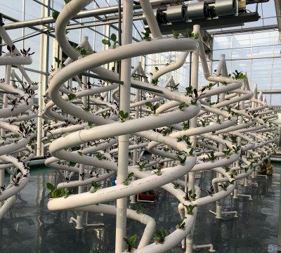 无土栽培学,掌握核心技术,轻松实现高产 无土栽培学,掌握核心技术,轻松实现高产