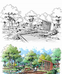 道路绿化设计素描,提升城市美感,展现设计思路 道路绿化设计素描,提升城市美感,展现设计思路