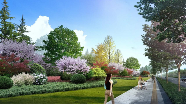 道路绿化设计专业,提升城市颜值,打造宜居环境 道路绿化设计专业,提升城市颜值,打造宜居环境