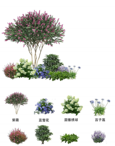 园林绿化景观设计植物,选对品种,提升整体效果 园林绿化景观设计植物,选对品种,提升整体效果