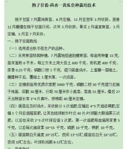 无土栽培缺点,常见问题解析,种植避坑指南 无土栽培缺点,常见问题解析,种植避坑指南
