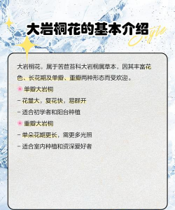 大岩桐花怎么养,掌握关键技巧,轻松爆盆开花 大岩桐花怎么养,掌握关键技巧,轻松爆盆开花