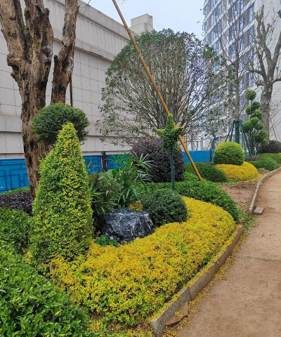 绿化设计依据,确保项目成功,提升环境品质 绿化设计依据,确保项目成功,提升环境品质