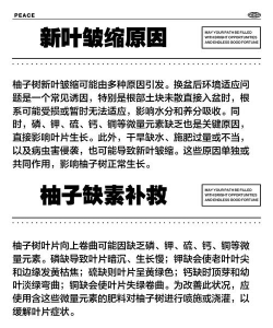 柚树春季病虫害防治知识,识别常见问题,掌握应对方法 柚树春季病虫害防治知识,识别常见问题,掌握应对方法