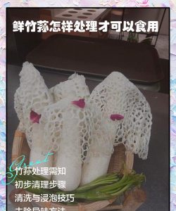 竹荪栽培技术,掌握关键步骤,轻松实现高产 竹荪栽培技术,掌握关键步骤,轻松实现高产