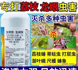 龙眼树椿象防治特效药,快速消灭害虫,保护果树健康 龙眼树椿象防治特效药,快速消灭害虫,保护果树健康