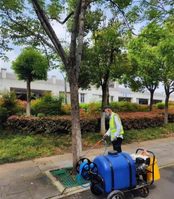 栾树常见病虫害防治肥,识别问题关键,掌握应对方法 栾树常见病虫害防治肥,识别问题关键,掌握应对方法