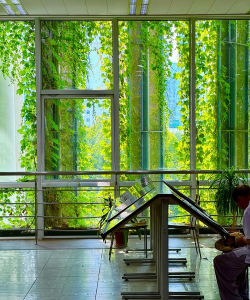 图书馆绿化设计,提升阅读体验,营造舒适环境 图书馆绿化设计,提升阅读体验,营造舒适环境