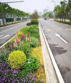 公路绿化设计方案,提升行车体验,改善生态环境 公路绿化设计方案,提升行车体验,改善生态环境