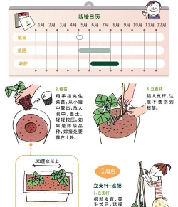 黄瓜的栽培技术,掌握关键步骤,轻松收获果实 黄瓜的栽培技术,掌握关键步骤,轻松收获果实