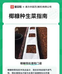 椰糠栽培,新手入门指南,轻松掌握技巧 椰糠栽培,新手入门指南,轻松掌握技巧