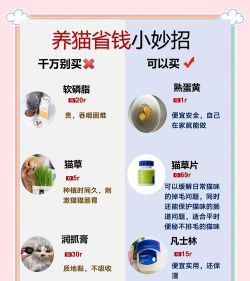 猫咪栽培,新手入门指南,轻松养出健康猫 猫咪栽培,新手入门指南,轻松养出健康猫