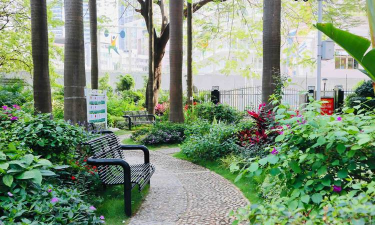 深圳园林绿化设计,提升城市美感,改善居住环境 深圳园林绿化设计,提升城市美感,改善居住环境