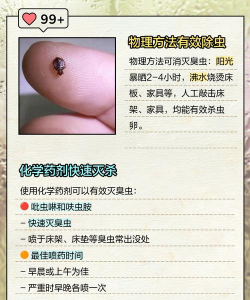 树臭虫防治,快速有效方法,家庭实用指南 树臭虫防治,快速有效方法,家庭实用指南