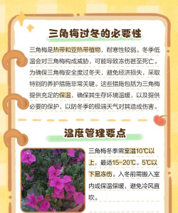 花怎么养过冬,做好保暖措施,确保安全越冬 花怎么养过冬,做好保暖措施,确保安全越冬