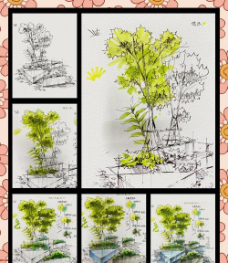 园林绿化设计手绘,掌握基础技法,提升方案表现力 园林绿化设计手绘,掌握基础技法,提升方案表现力