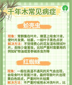 防治古树,常见问题解析,实用养护指南 防治古树,常见问题解析,实用养护指南