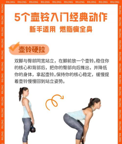 健身栽培,新手入门,轻松上手 健身栽培,新手入门,轻松上手