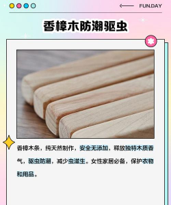 香樟古树防治,常见问题解析,实用方法分享 香樟古树防治,常见问题解析,实用方法分享