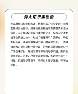 无花果树的栽培,掌握关键技巧,轻松收获果实 无花果树的栽培,掌握关键技巧,轻松收获果实