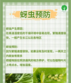 花椒树蚜虫防治,识别虫害特征,掌握有效方法 花椒树蚜虫防治,识别虫害特征,掌握有效方法