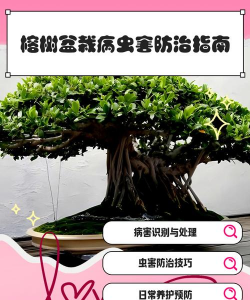 楁树虫害防治,识别常见害虫,掌握有效方法 楁树虫害防治,识别常见害虫,掌握有效方法