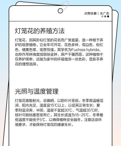 灯笼花怎么养,掌握关键技巧,轻松爆盆开花 灯笼花怎么养,掌握关键技巧,轻松爆盆开花